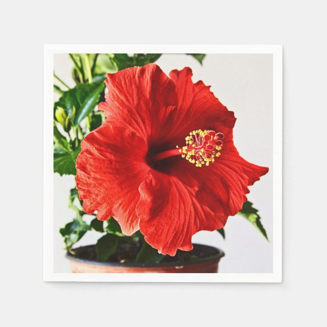 Red Hibiscus Flower Napkin (Front)