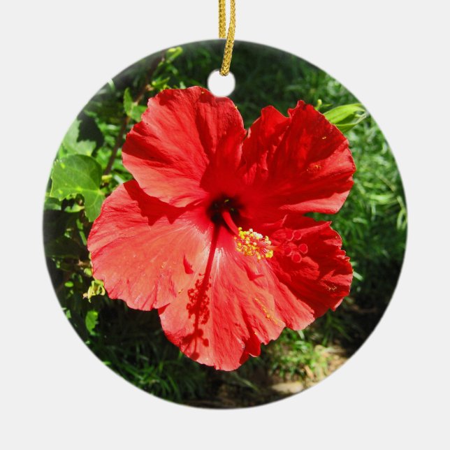 Red Hibiscus Flower Photograph from Hawaii Ceramic Ornament (Front)