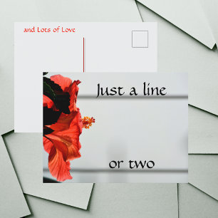 Red Hibiscus Flower Photographic Botanical Postcard