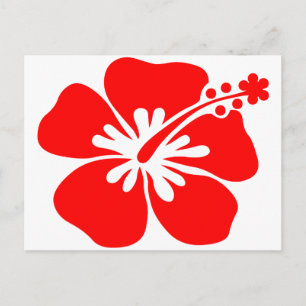 Red hibiscus flower postcard