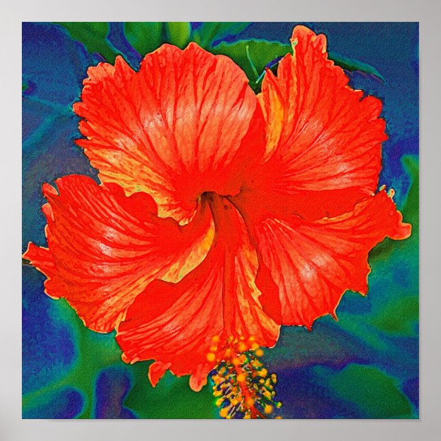 Red hibiscus flower poster (Front)
