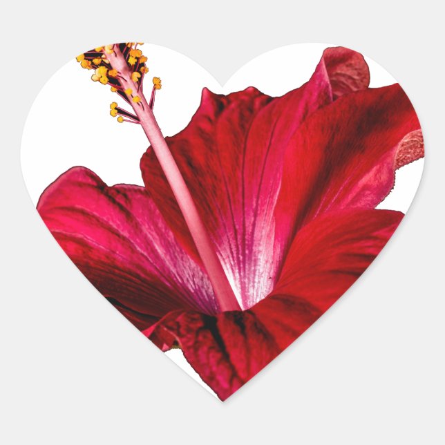 Red Hibiscus Flower Side View Heart Sticker (Front)