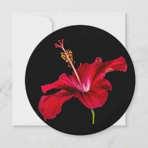 Red Hibiscus Flower Side View Invitation
