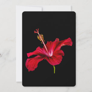 Red Hibiscus Flower Side View Invitation