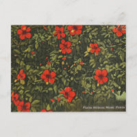 Red Hibiscus Flower Vintage Miami