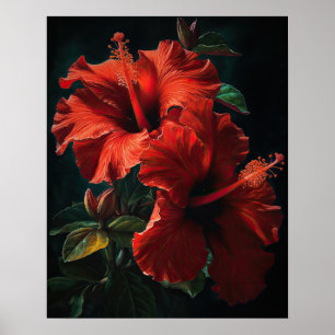 Red Hibiscus Flowers Art Print Poster