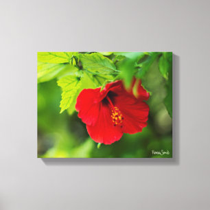 Red Hibiscus Hawaii Tropical Flower Canvas Print