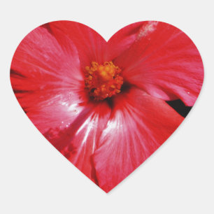 Red Hibiscus Heart Sticker
