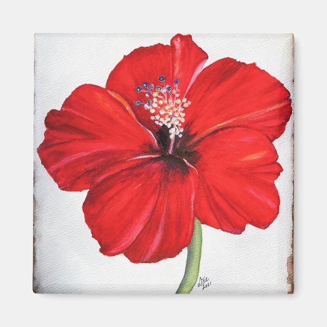 Red Hibiscus Magnet  (Front)