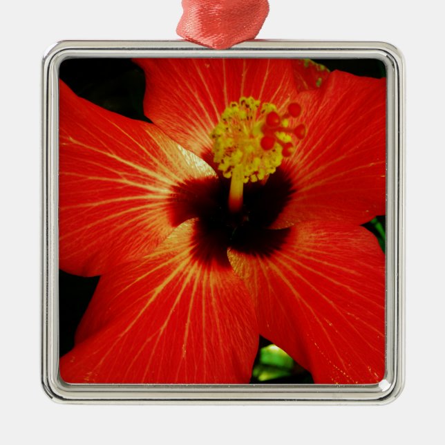Red Hibiscus Metal Ornament (Front)