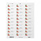 Red Hibiscus Monstera Tropical Return Address