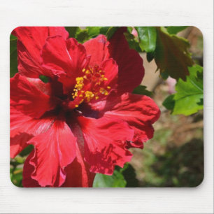 Red Hibiscus Mouse Pad