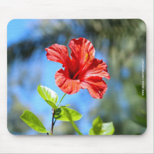 Red Hibiscus Mouse Pad