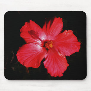 Red Hibiscus Mouse Pad