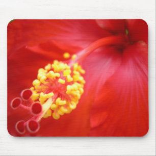 Red Hibiscus Mousepad