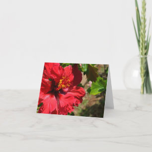 Red Hibiscus Note Card