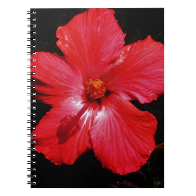 Red Hibiscus Notebook (Front)