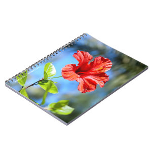 Red Hibiscus Notebook
