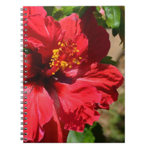 Red Hibiscus Notebook