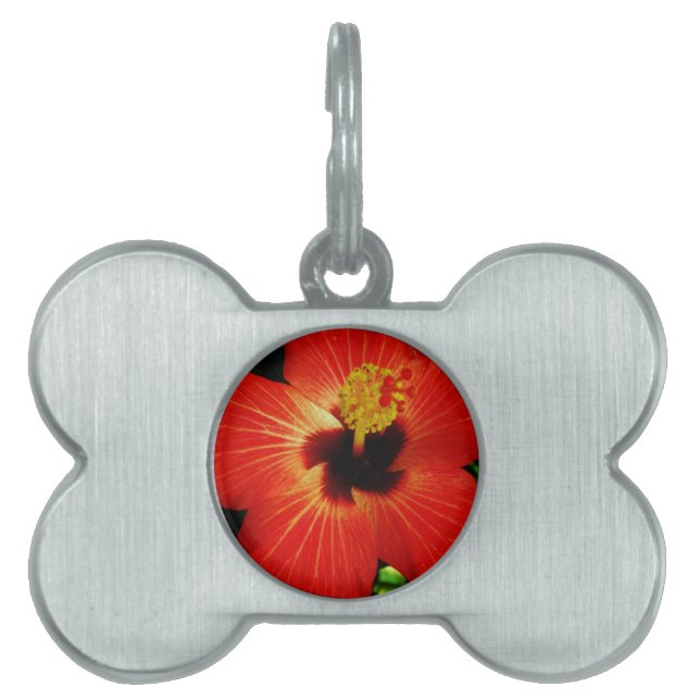 Red Hibiscus Pet Name Tag (Front)