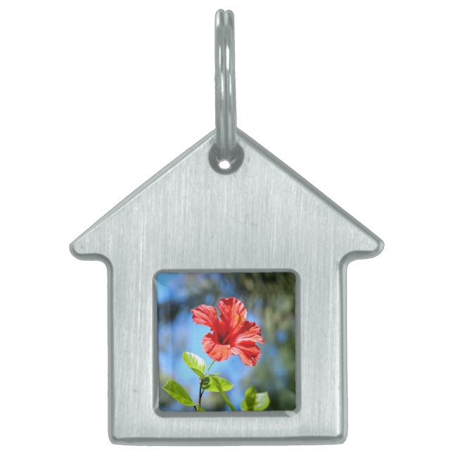 Red Hibiscus Pet Tag (Front)
