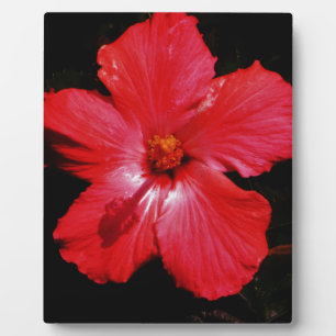 Red Hibiscus Plaque