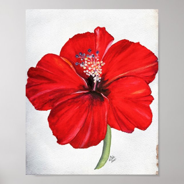 Red Hibiscus Premium Canvas Poster  (Front)