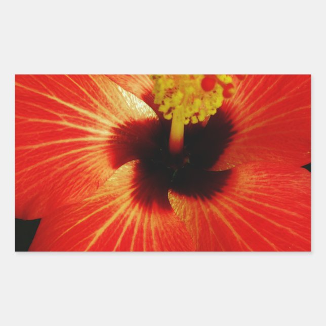 Red Hibiscus Rectangular Sticker (Front)