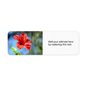 Red Hibiscus Return Address Label