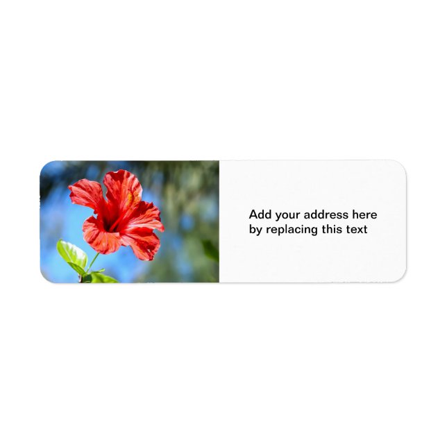 Red Hibiscus Return Address Label (Front)