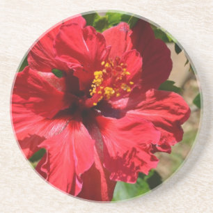 Red Hibiscus Sandstone Coaster