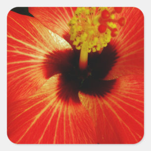 Red Hibiscus Square Sticker