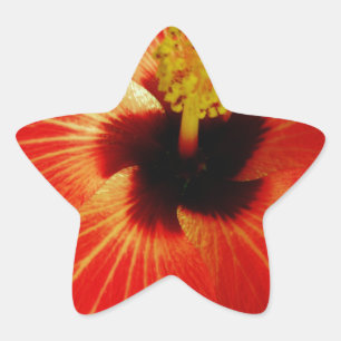 Red Hibiscus Star Sticker