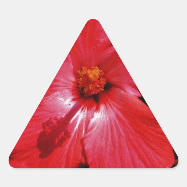 Red Hibiscus Triangle Sticker (Front)