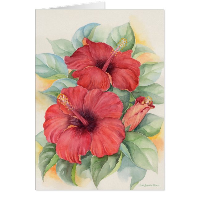 Red Hibiscus Tropical Flower Painting - Multi (Front)