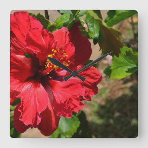 Red Hibiscus Wall Clock