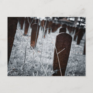 Red Hill Cemetery Rusty Grave Markers Postcard