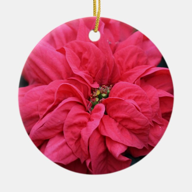 Red Holiday Poinsettia Ornament (Front)