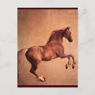 RED HORSE POSTCARD