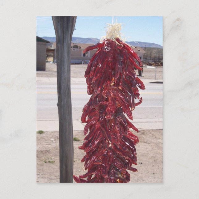 red hot chilli peppers in Hatch New Mexico Postcard (Front)