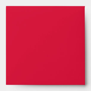 Red Hot Leopard “Fur” Lined Square Envelope