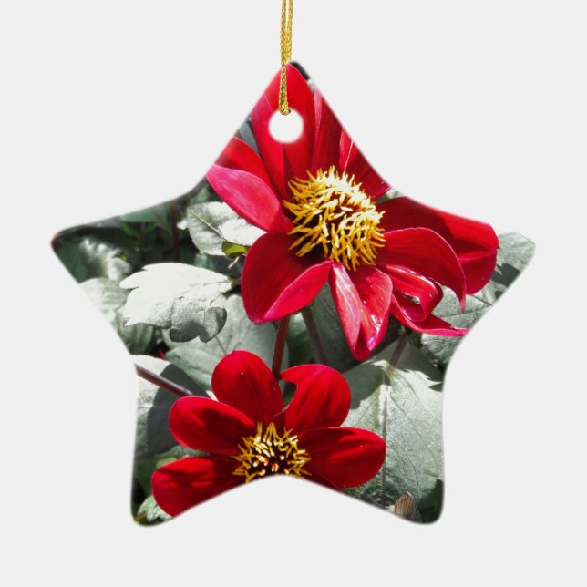 red hot pink daisy / daisies flowers ceramic ornament (Front)