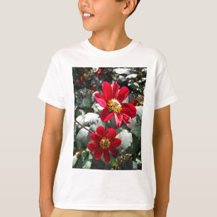 red hot pink daisy / daisies flowers T-Shirt