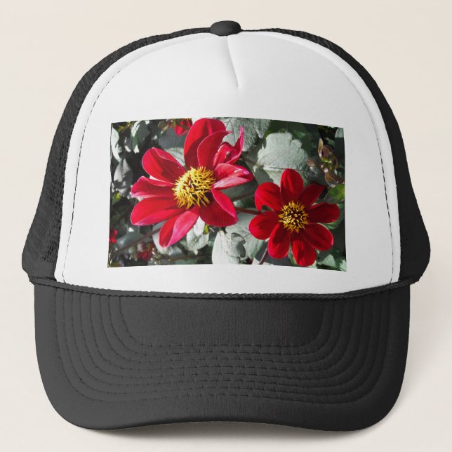 red hot pink daisy / daisies flowers trucker hat (Front)