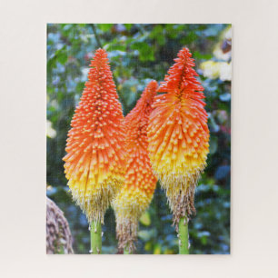 Red hot poker flowers jigsaw puzzle