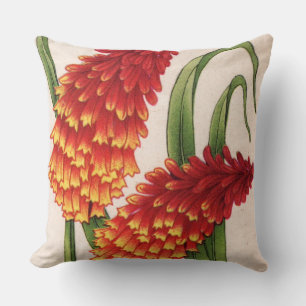 red hot pokers aka torch lilly aka kniphofia cushion