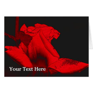 Red Hot Rosebud Floral Art Photo Card
