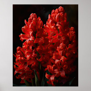 Red Hyacinth Flowers Art Print Poster