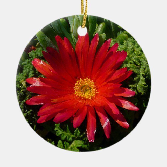 Red Ice Flower Colourful Carpet Plant Ceramic Tree Decoration (Front)