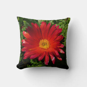 Red Ice Flower Colourful Carpet Plant Cushion